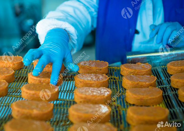 Перспективное пищевое производство