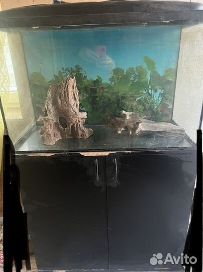 Аквариум с тумбой
