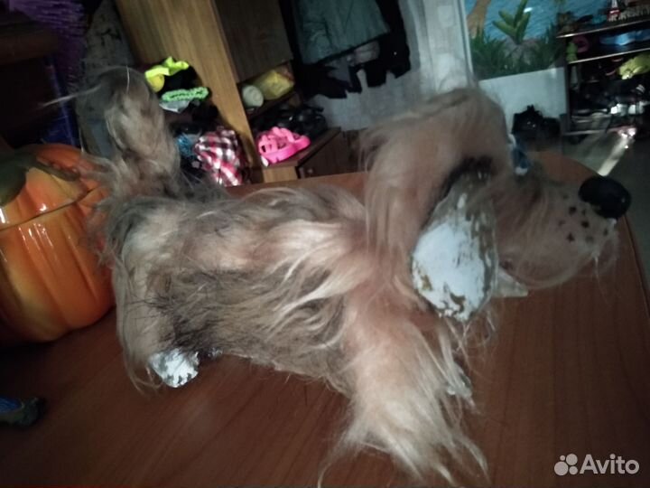 Собака мягкие игрушки авторские