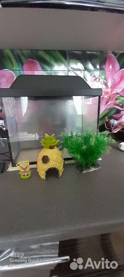 Аквариум