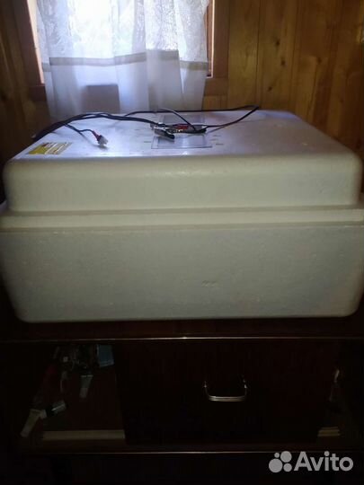 Автоматический инкубатор