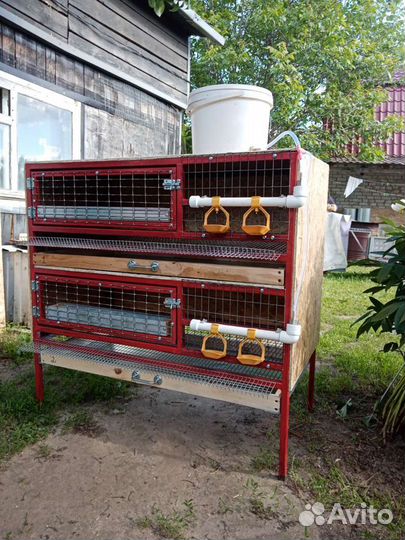 Клетки и брудеры