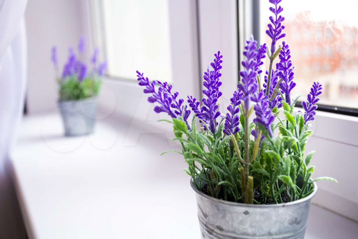 2-к. квартира, 65 м², 4/16 эт.