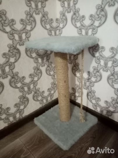 Когтеточка