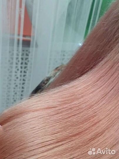 Ищу модель на окрашивание + стрижку