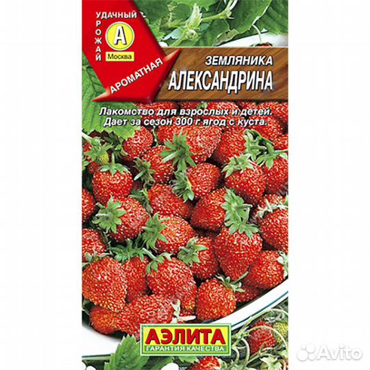 Земляника Александрина