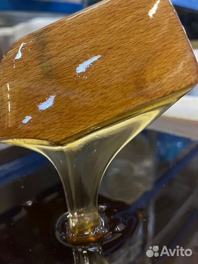 Мёд свежий оптом. Разнотравье темное, качка 2023г