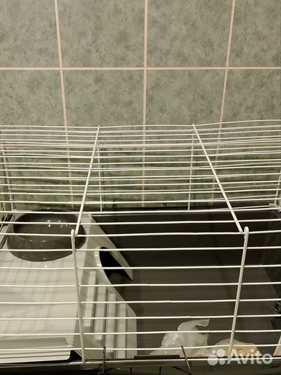 Клетка для грызунов бу