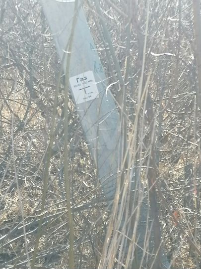 Участок 12,2 сот. (ИЖС)