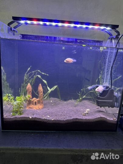 Аквариум 35 литров