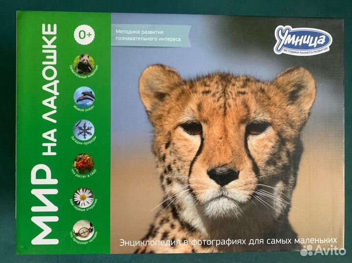 Умница методическое пособие Мир на ладошке