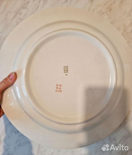 Большая тарелка блюдо