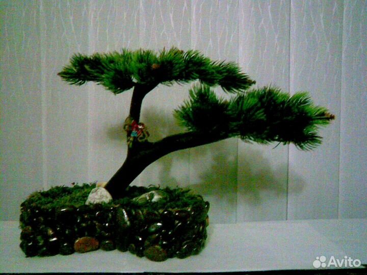 Бонсай для интерьера