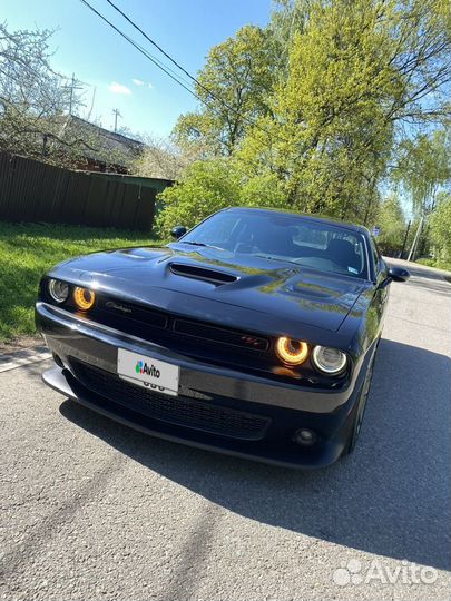 Dodge Challenger МТ, 2022, 20 528 км