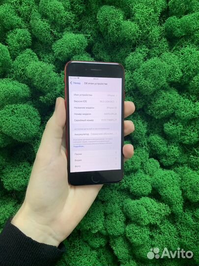 iPhone SE (2022), 64 ГБ