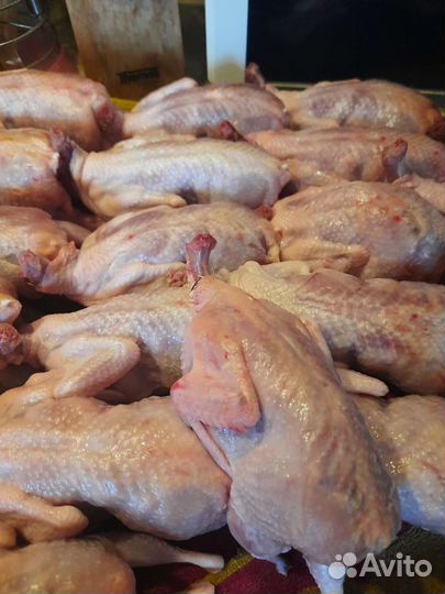 Мясо перепелиное