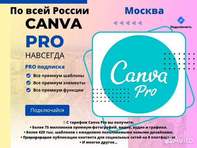 Canva Pro.