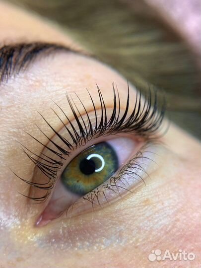 Обучение, Оформление бровей и ламинирование ресниц