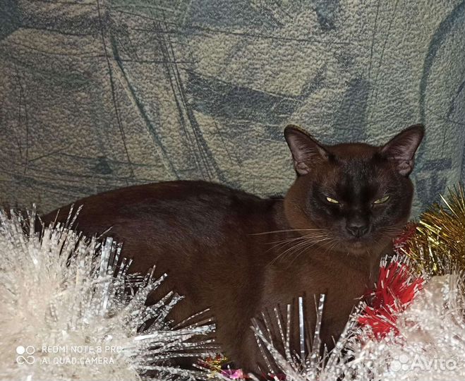 Вязка бурма