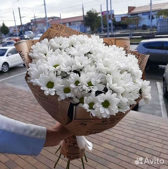 Хризантема Доставка цветов Букеты