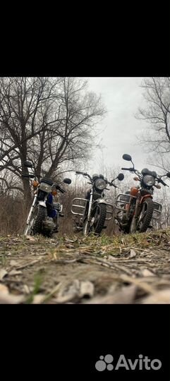 Альфа RC110N с птс