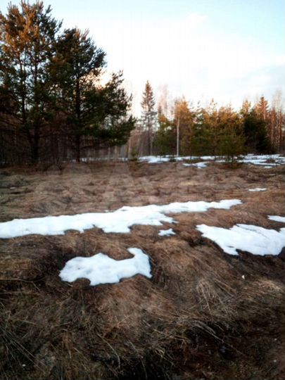 Участок 30 сот. (ИЖС)