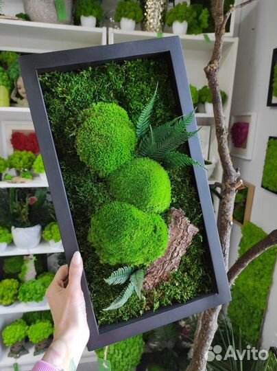 Стабилизированный мох картина