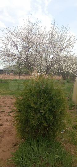 Дача 40 м² на участке 12 сот.