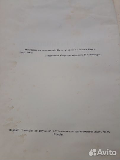 Табачная промышленность в России 1916г