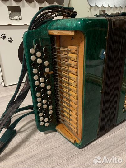 Баян 1960 год