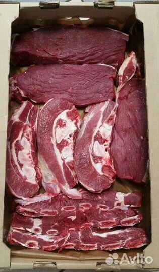 Свежая говядина с доставкой