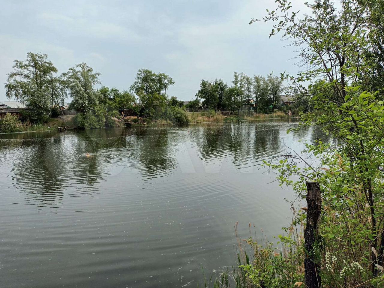 Участок 10 сот. (ИЖС)