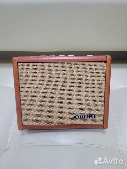 Портативный комбоусилитель Amoon AC 15