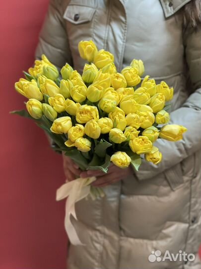 Пионовидные тюльпаны