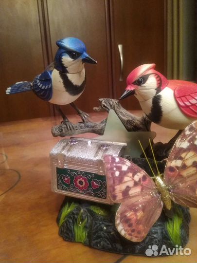 Птицы поющие декоративные