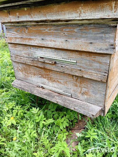 Улей с пчелами