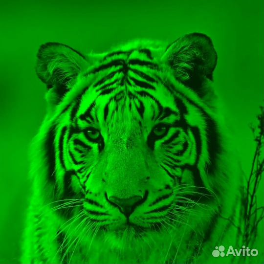 Фотобумага светящиеся в темноте