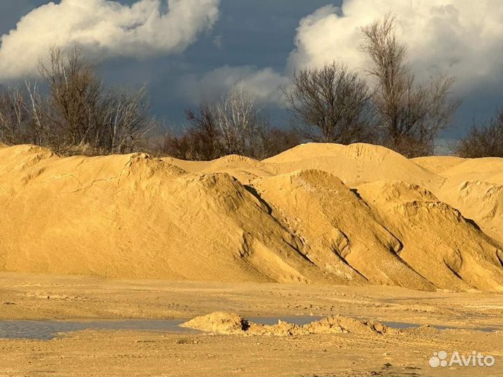 Окол скальный