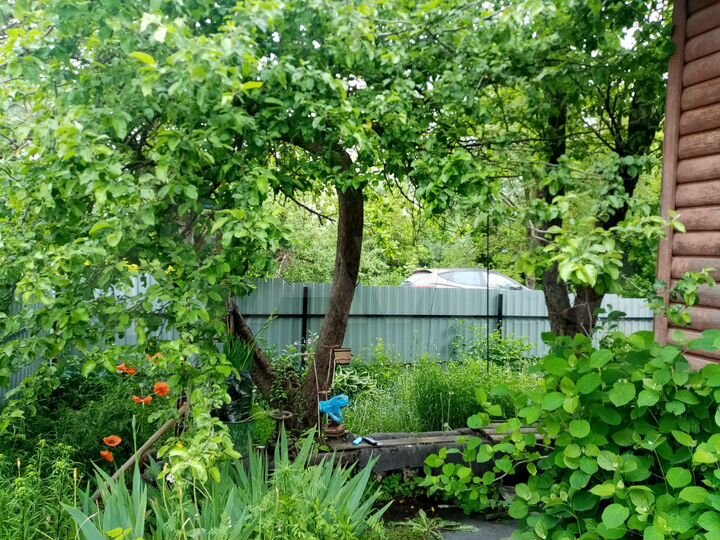 1-к. квартира, 26,1 м², 1/1 эт.