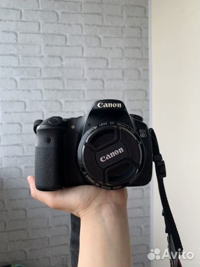 Зеркальный фотоаппарат Canon 60d +Canon 450 d