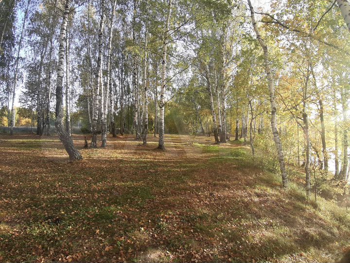Участок 7 сот. (ИЖС)