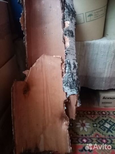 Листы бересты(для террариума.поделок и тд)