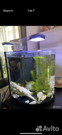 Аквариум с рыбками