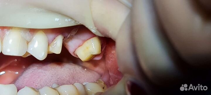 Стоматология