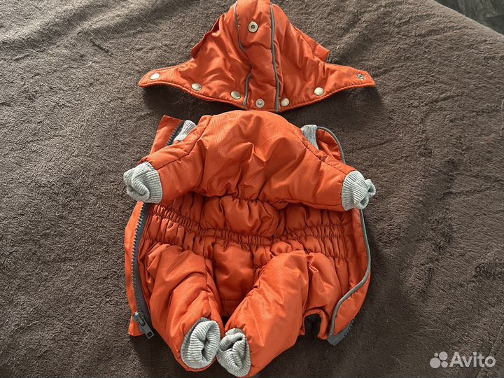 Комбинезон для маленькой собаки (девочка)