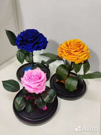 Роза в колбе