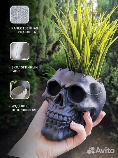 Кашпо Череп чёрный матовый из гипса