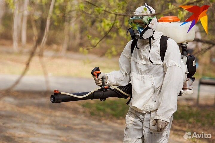 Уничтожение клопов, тараканов, блох, муравьев и др