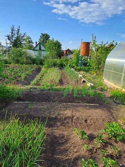 Участок 6 сот. (СНТ, ДНП)