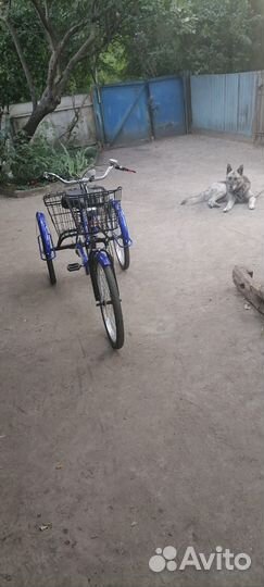 Трехколесный велосипед для взрослых